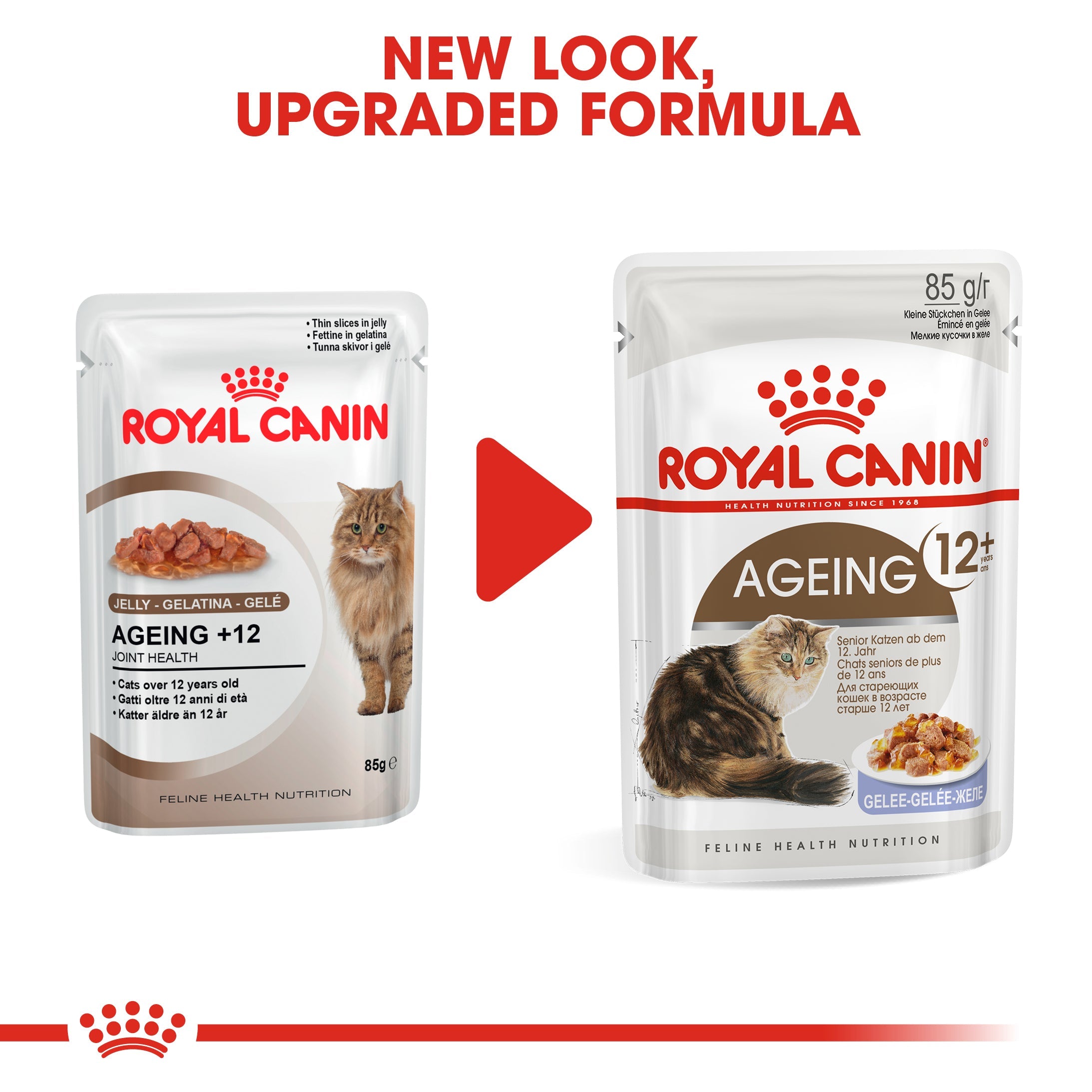 Royal Canin 11+ Senior Wet Cat Food