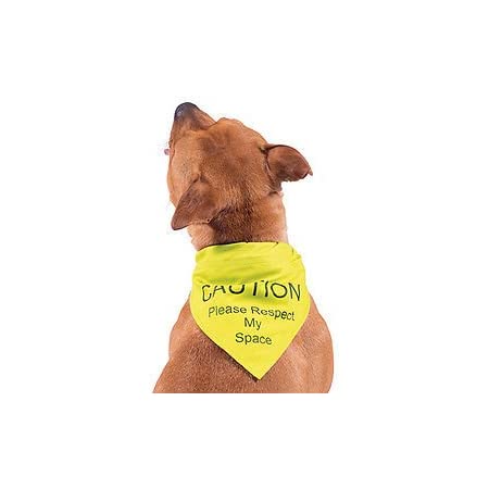 Ancol Dog Hi Vis Warning Bandana