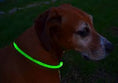 Load image into Gallery viewer, Animate Walking Mate LED Flashing Loop

