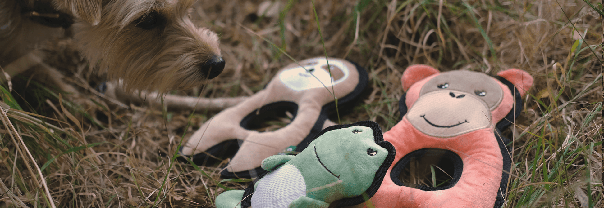 Beco Recycled Rough & Tough Sloth Medium Eco-Friendly Durable Plush Toy for Kids & Pets