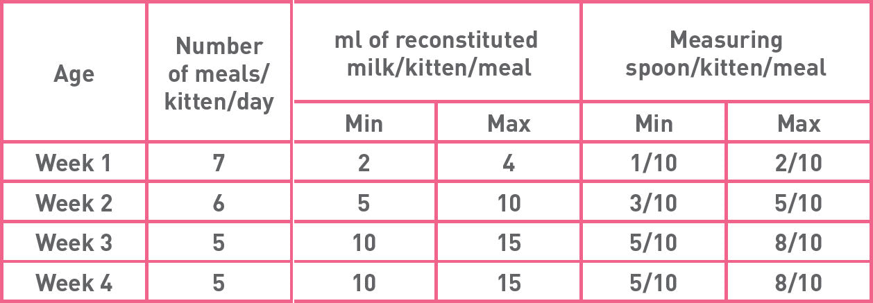 Royal Canin Babycat Kitten Milk