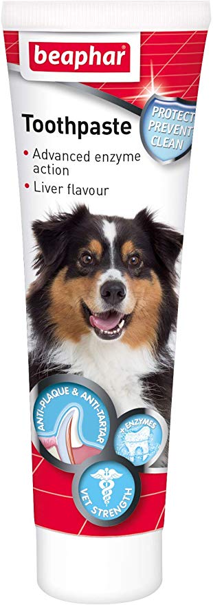 Beaphar Toothpaste