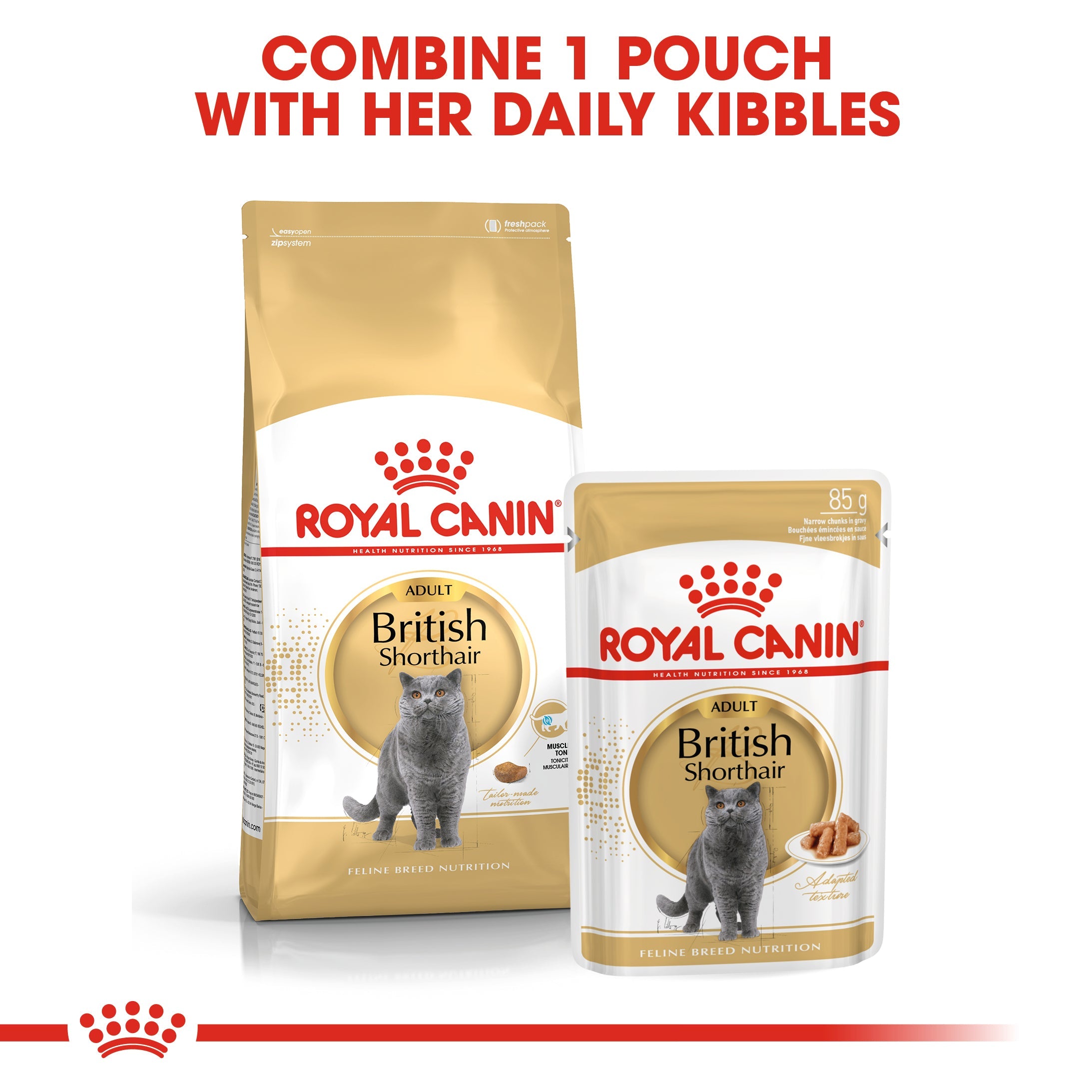 Royal Canin British Shorthair Adult Dry Cat Food