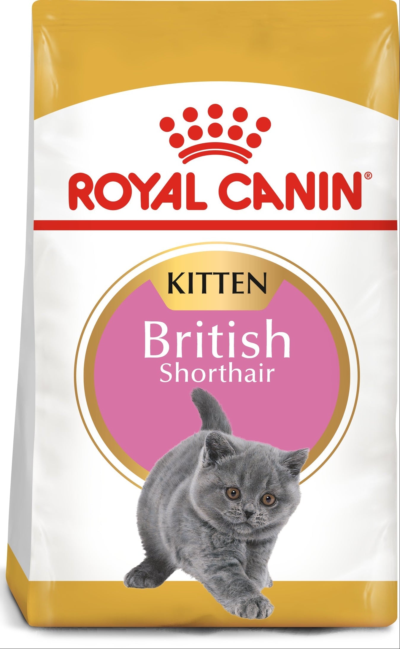 Royal Canin British Shorthair Kitten Dry Food