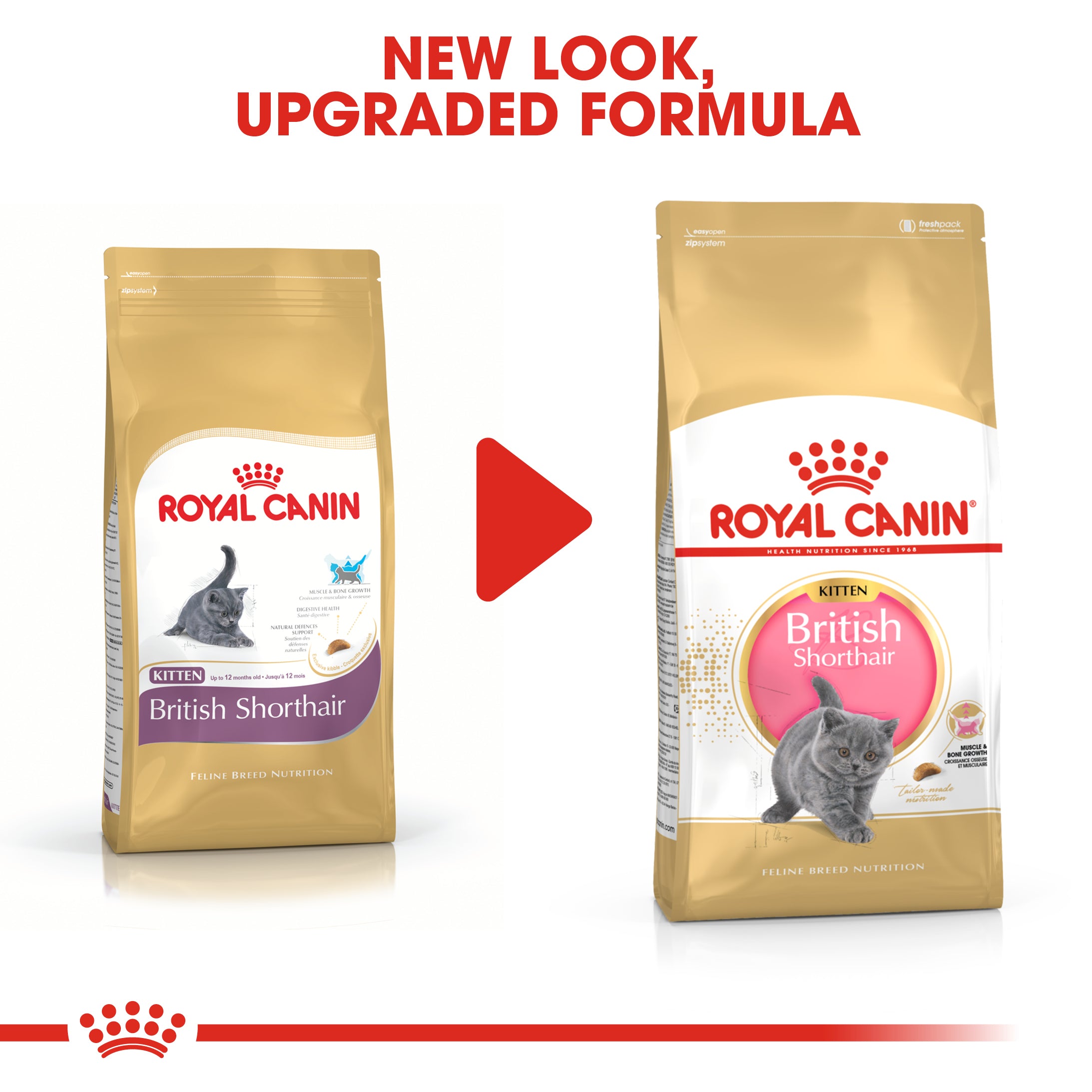 Royal Canin British Shorthair Kitten Dry Food