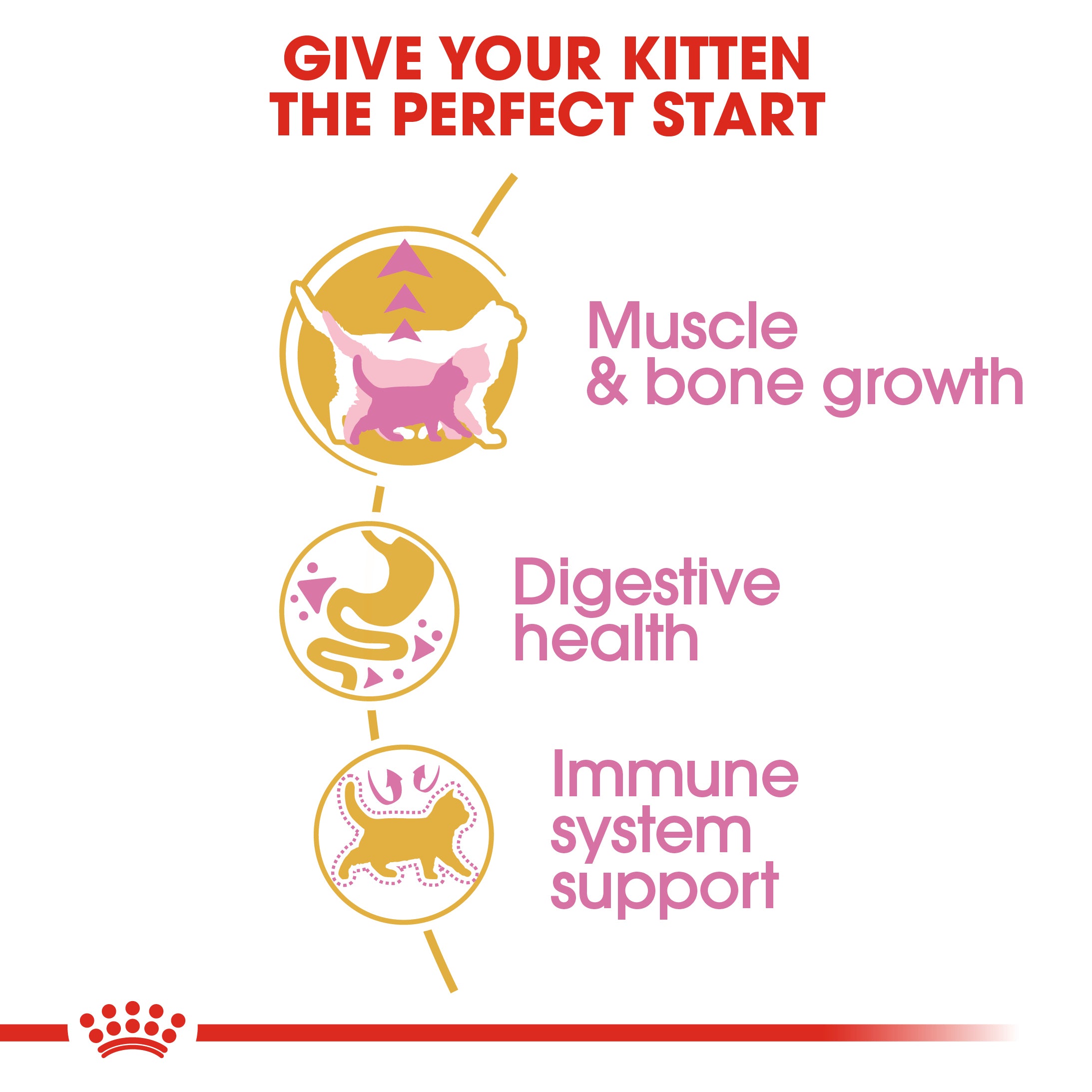 Royal Canin British Shorthair Kitten Dry Food