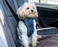 Load image into Gallery viewer, CarSafe Crash Tested Harness
