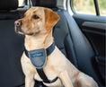 Load image into Gallery viewer, CarSafeTravel Harness
