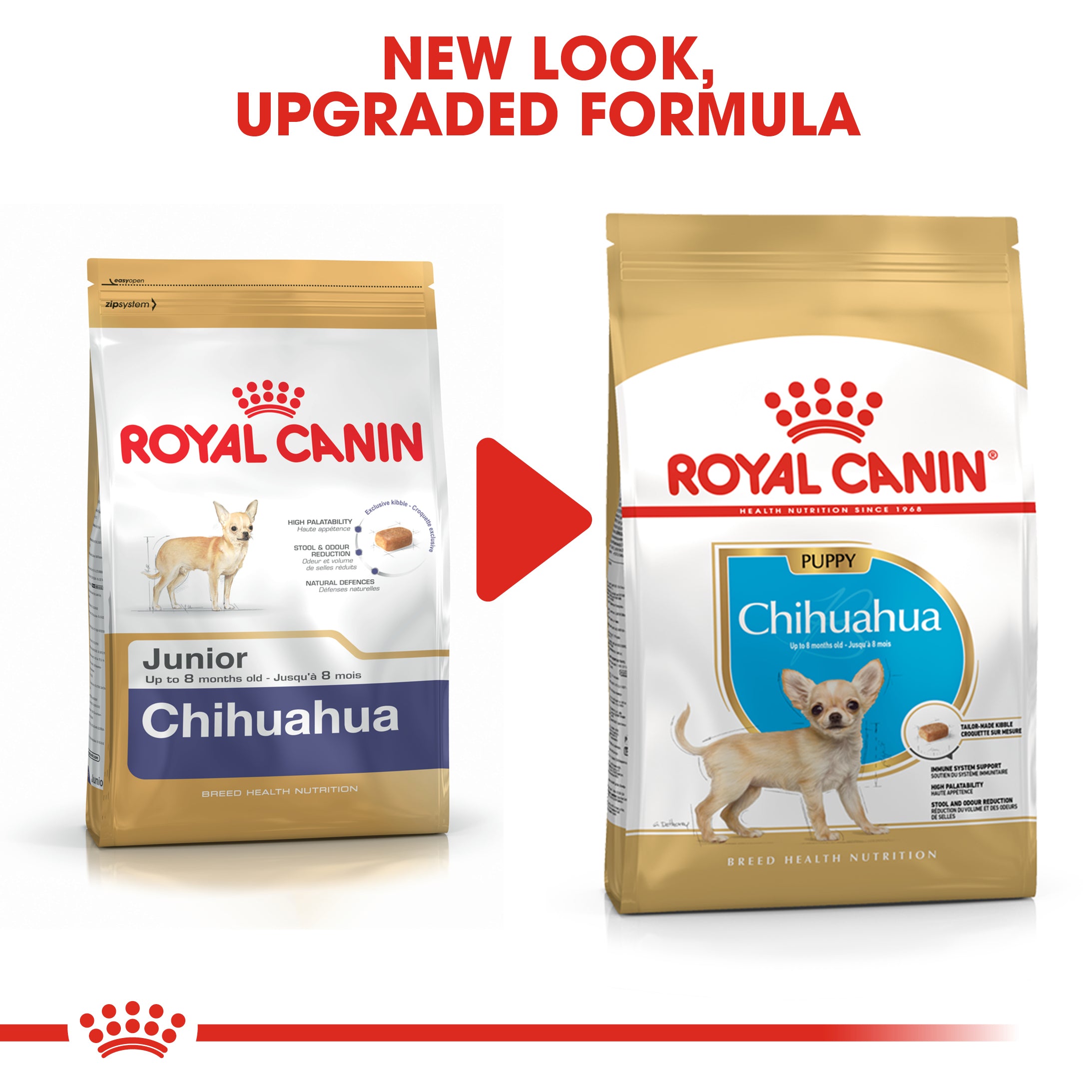 Royal Canin Chihuahua Puppy Dry Dog Food