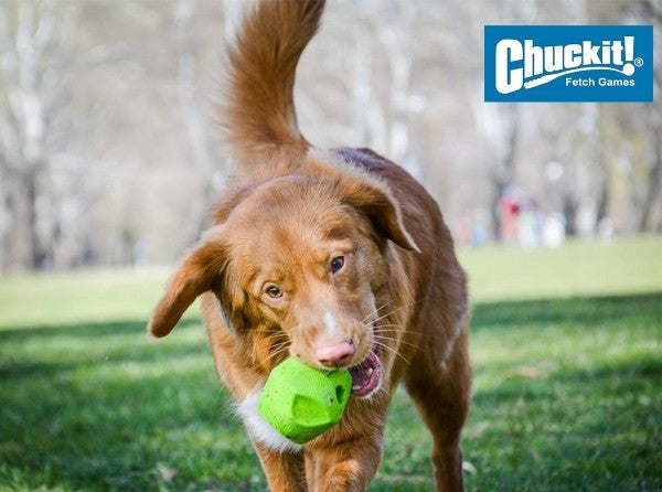 Chuckit! Erratic Ball