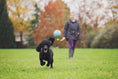 Load image into Gallery viewer, Chuckit! Sport Ball Launcher
