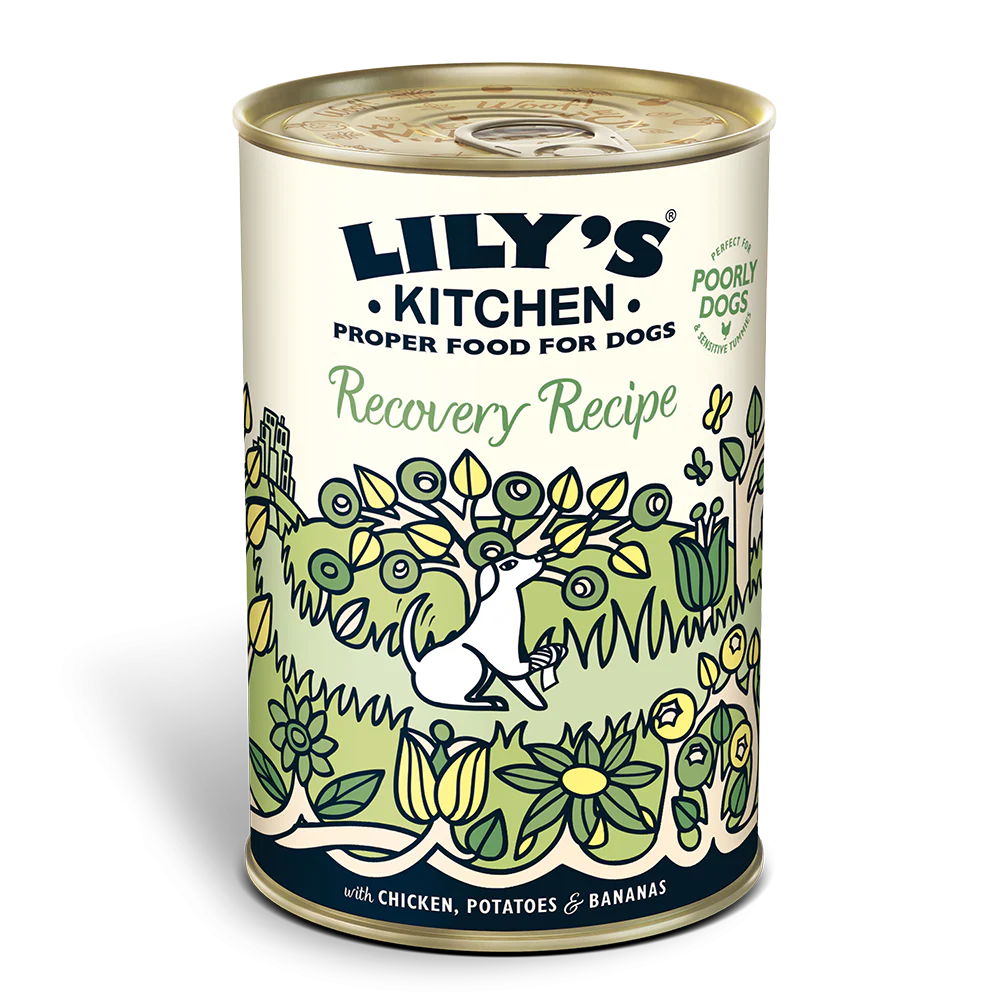 Lily's Kitchen Recovery Recipe