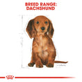 Load image into Gallery viewer, Royal Canin Dachshund Puppy Dry Dog Food
