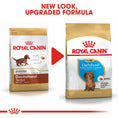 Load image into Gallery viewer, Royal Canin Dachshund Puppy Dry Dog Food
