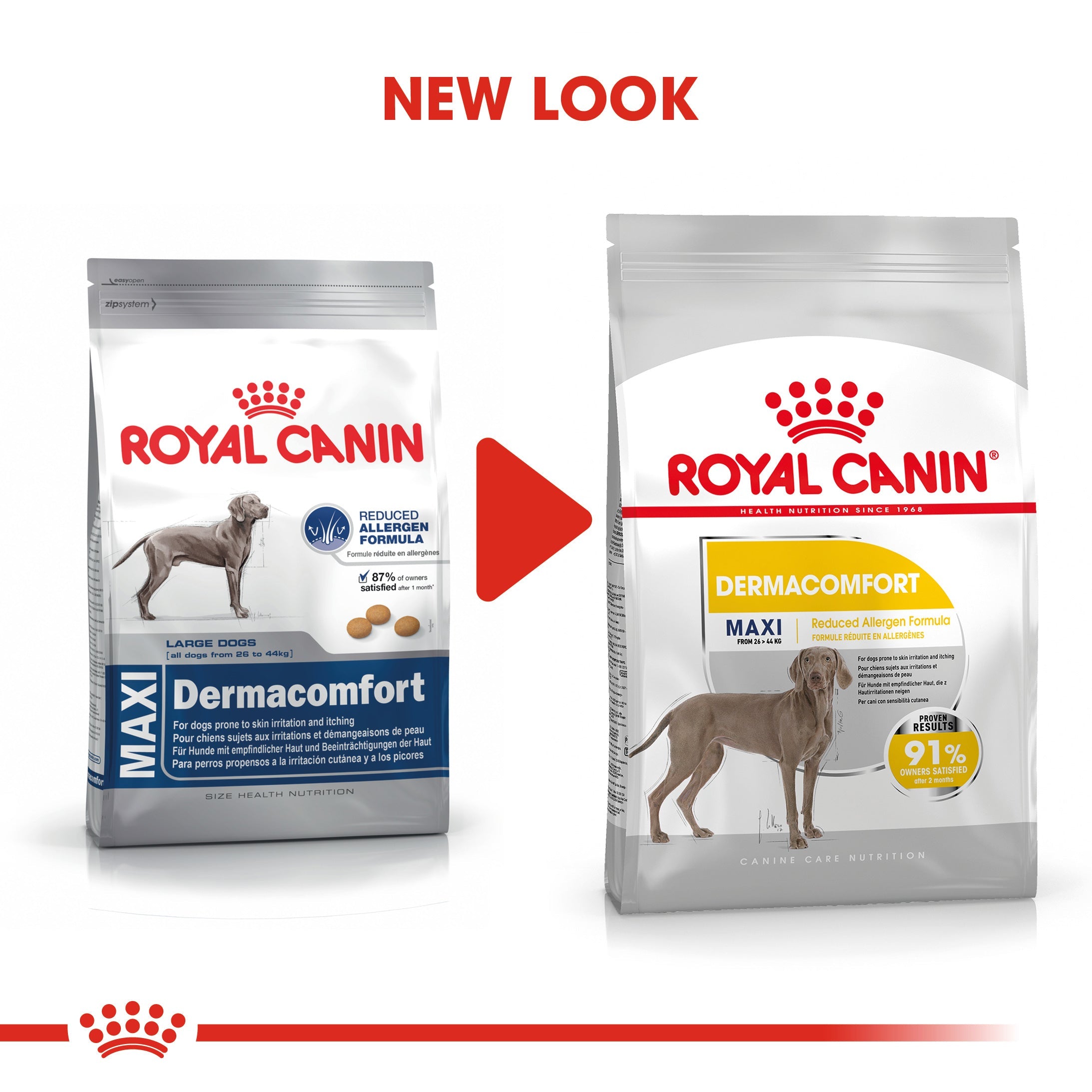 Royal Canin Maxi Dermacomfort Adult Dry Dog Food