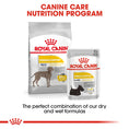 Load image into Gallery viewer, Royal Canin Maxi Dermacomfort Adult Dry Dog Food
