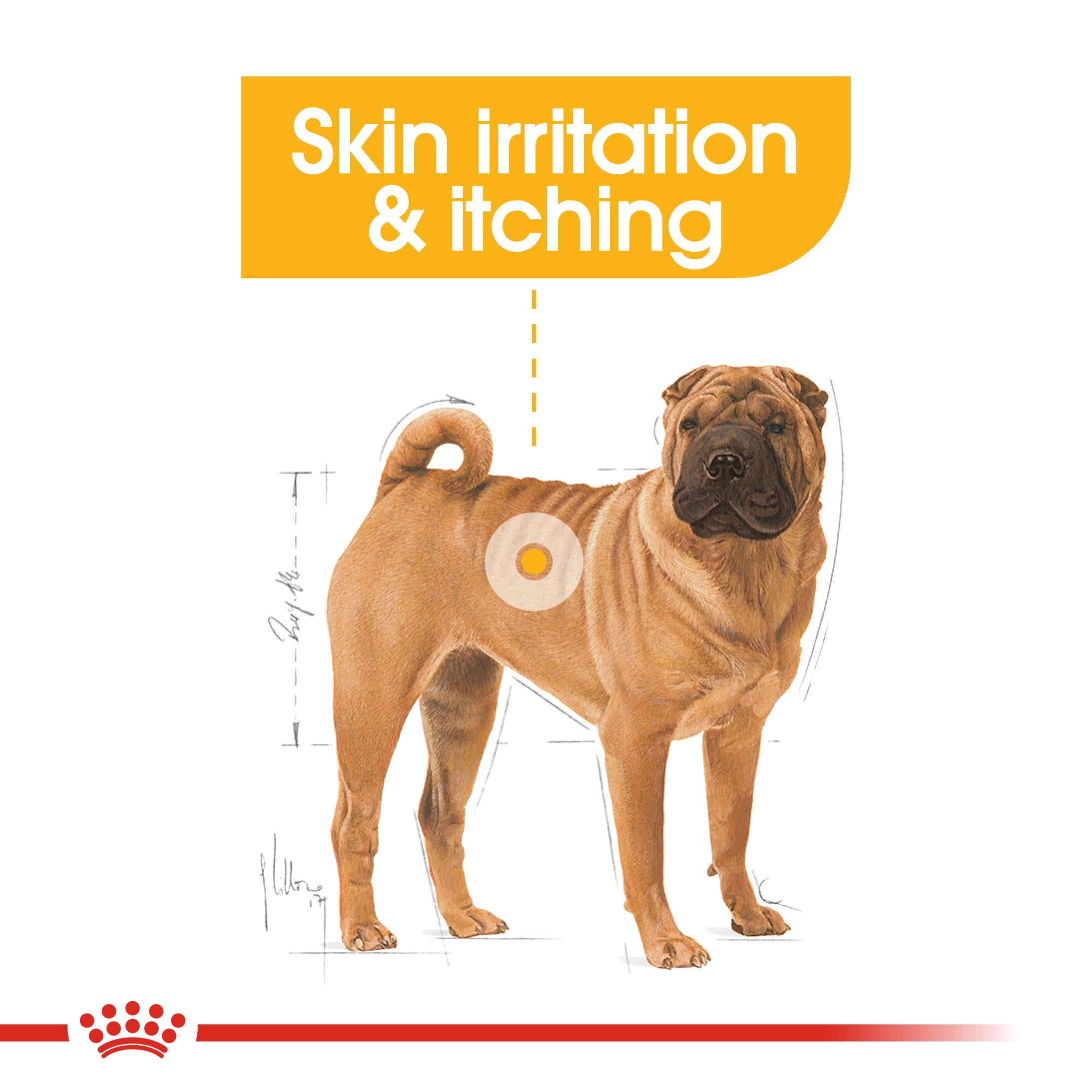 Royal Canin Mini Dermacomfort Adult Dry Dog Food