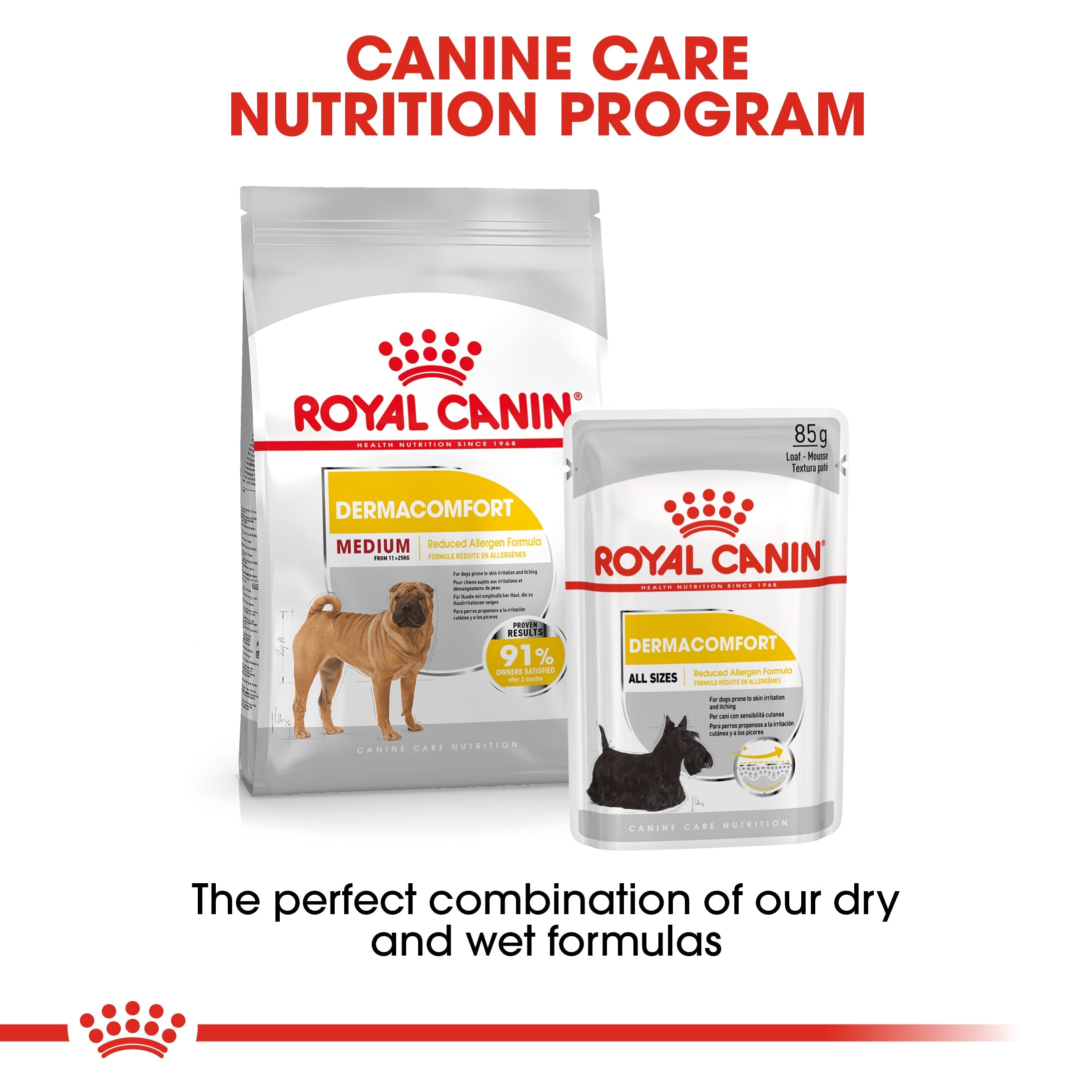 Royal Canin Mini Dermacomfort Adult Dry Dog Food