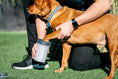 Load image into Gallery viewer, Dexas MudBuster Light Grey For Dogs Lidded / Unlidded
