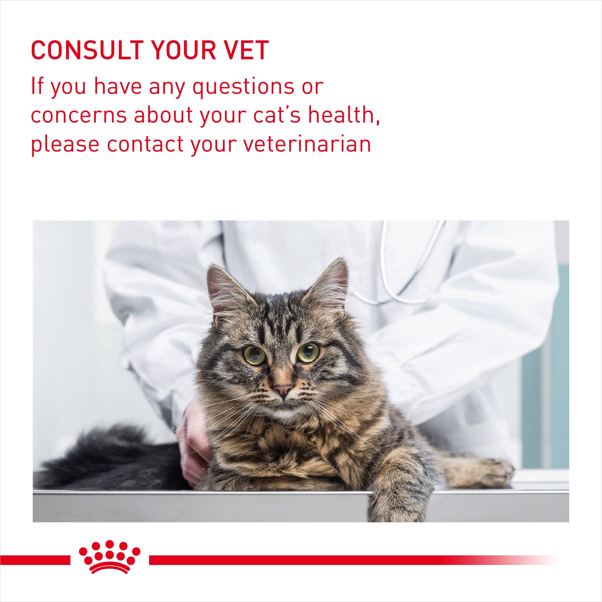 Royal Canin Digestive Care Adult Dry Cat Food