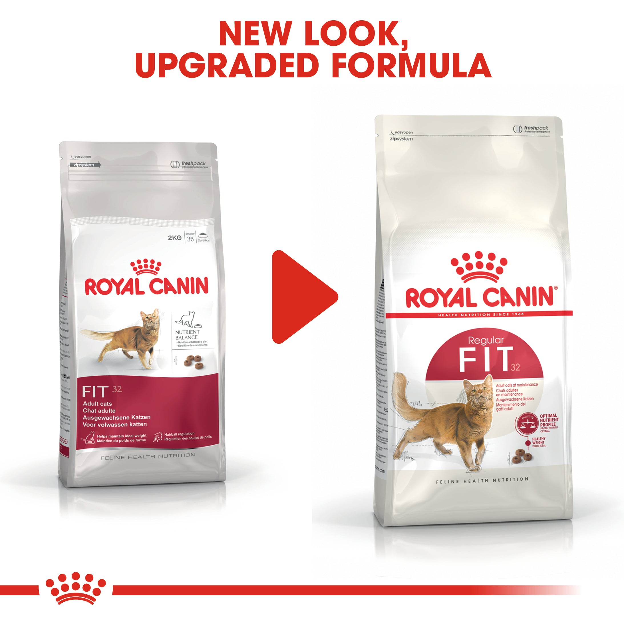 Royal Canin Regular Fit 32 Adult Dry Cat Food
