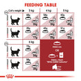 Load image into Gallery viewer, Royal Canin Regular Fit 32 Adult Dry Cat Food
