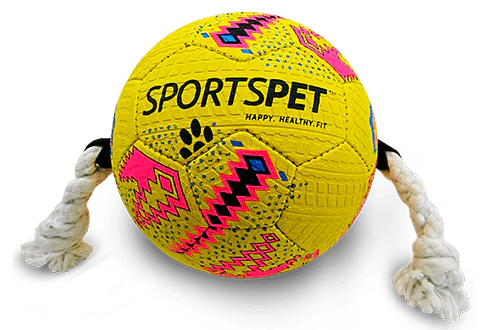 Sportspet Football Dog Toy