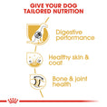 Load image into Gallery viewer, Royal Canin German Shepherd Adult Dry Dog Food
