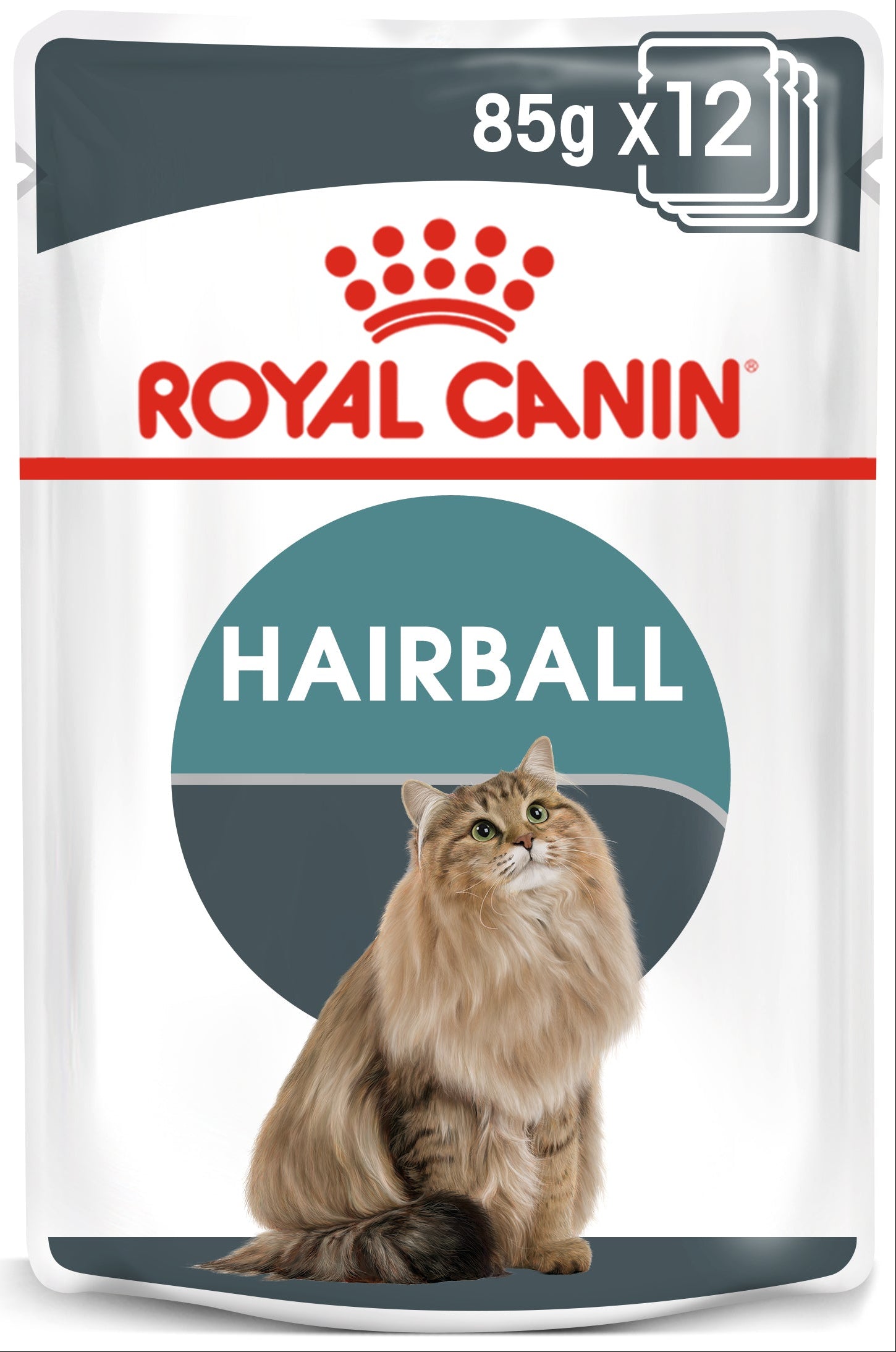Royal Canin Hairball Care In Gravy Adult Wet Cat Food