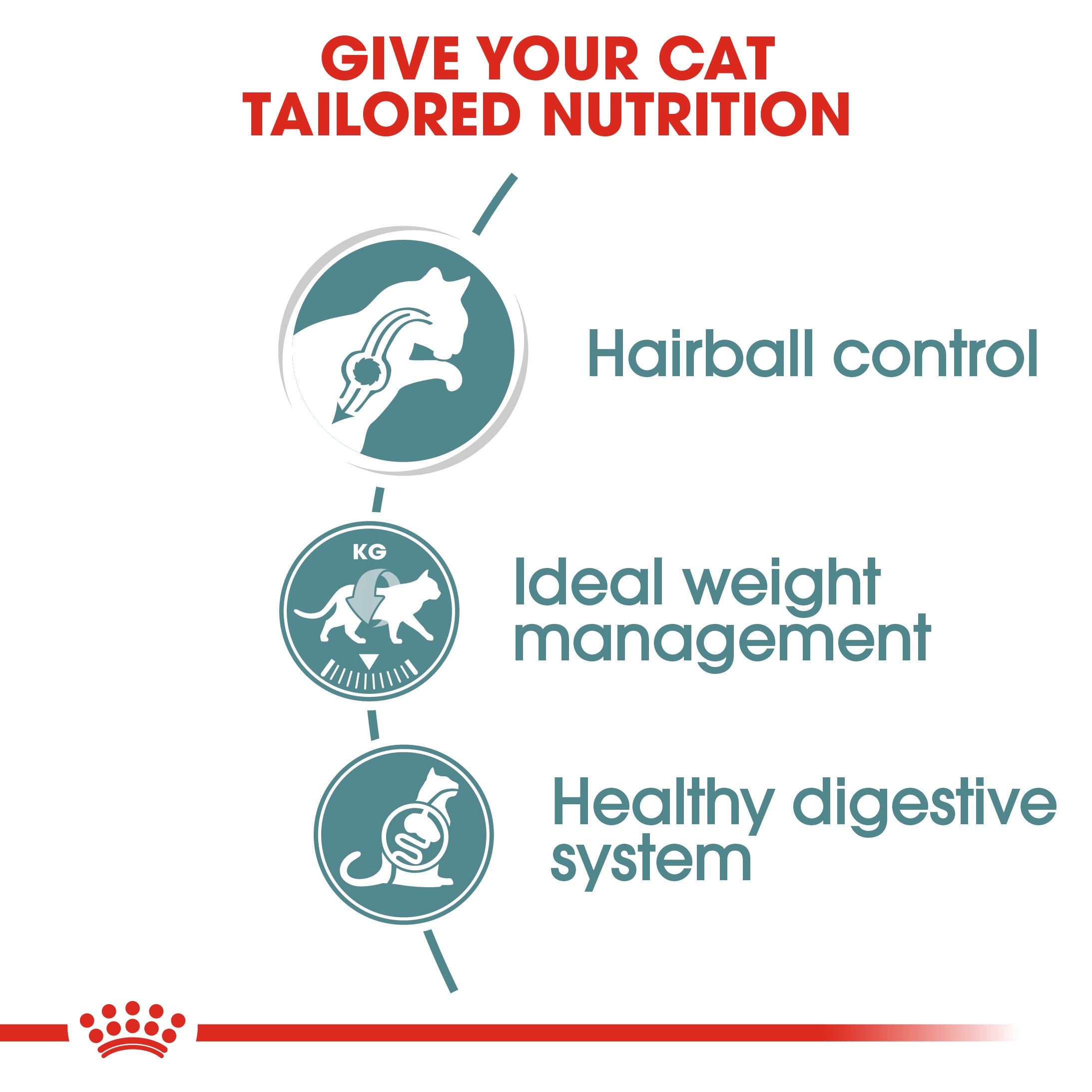 Royal Canin Hairball Care In Gravy Adult Wet Cat Food