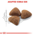 Load image into Gallery viewer, Royal Canin Indoor 27 Adult Dry Cat Food
