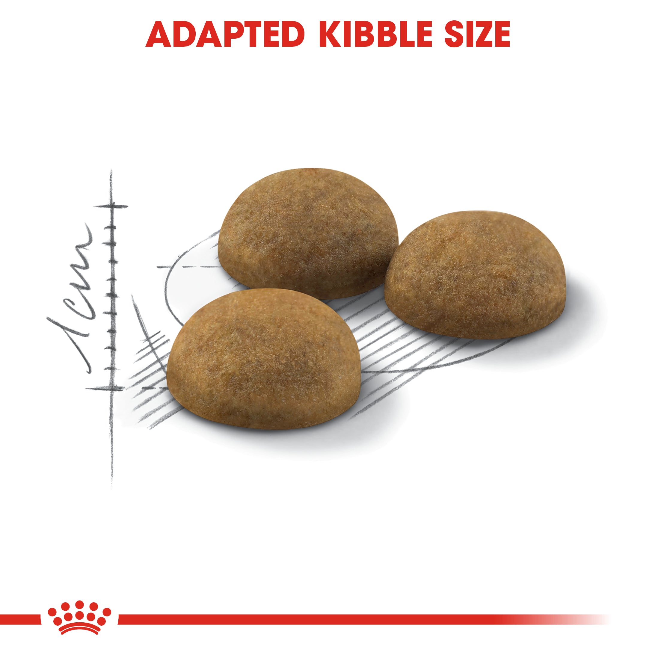 Royal Canin Indoor Cat Long Hair