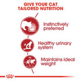 Load image into Gallery viewer, Royal Canin Instinctive Adult Wet Cat Food
