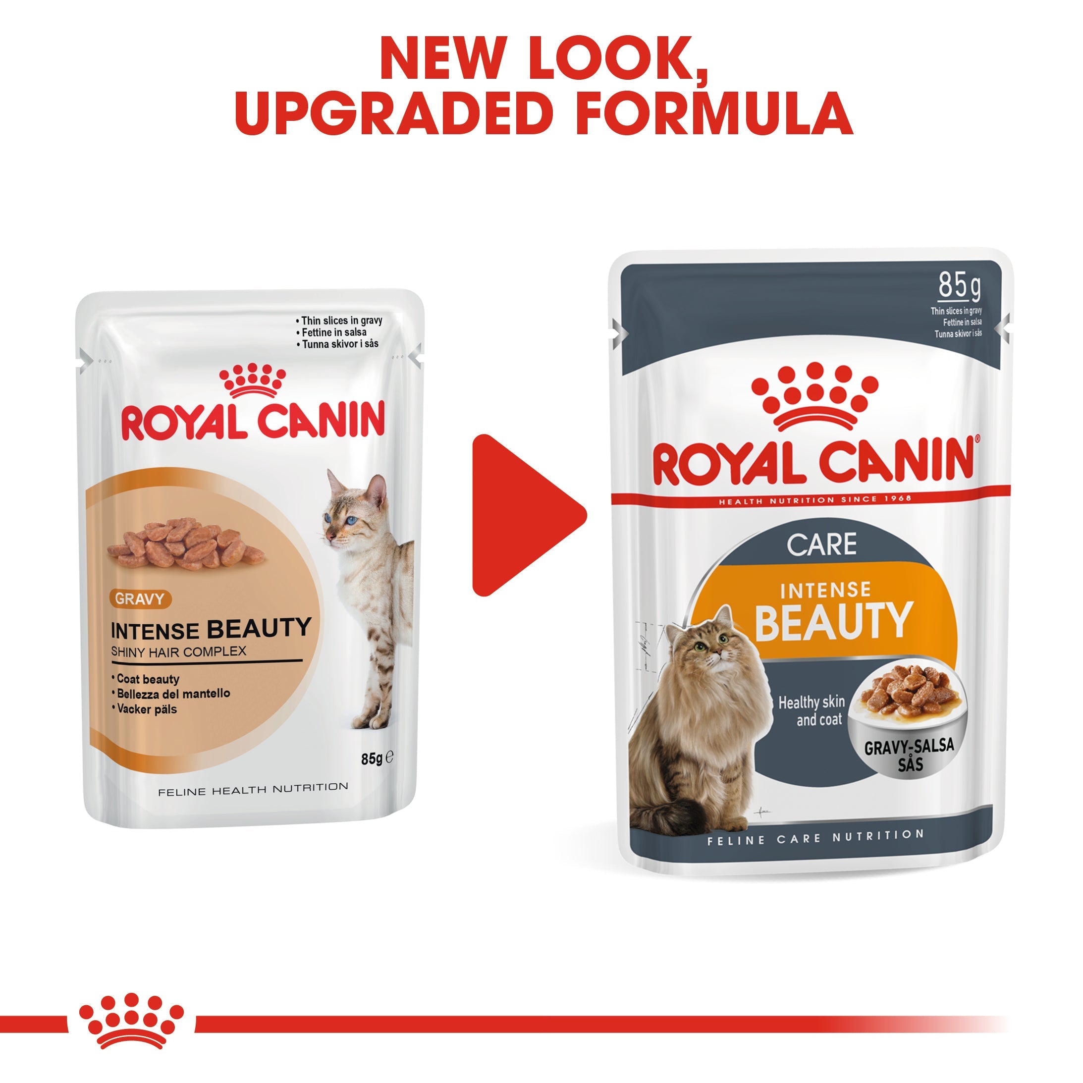 Royal Canin Intense Beauty Care Adult Wet Cat Food