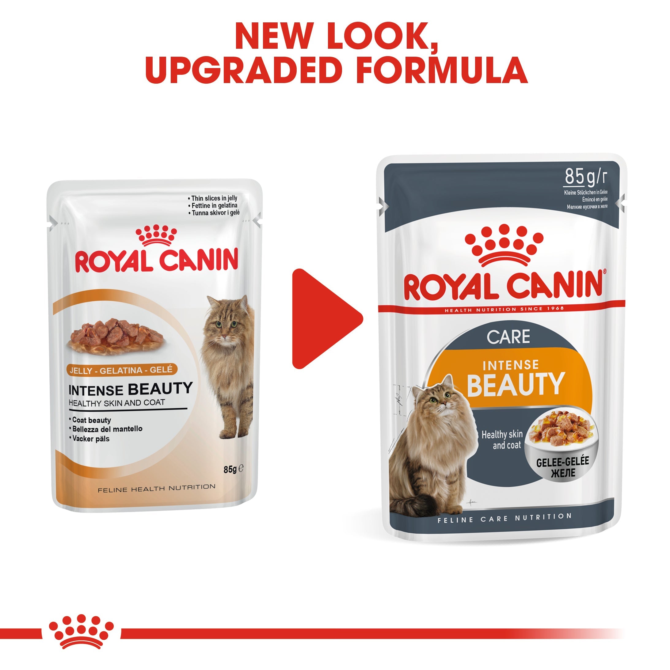 Royal Canin Intense Beauty Care Adult Wet Cat Food