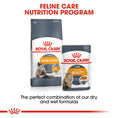 Load image into Gallery viewer, Royal Canin Intense Beauty Care Adult Wet Cat Food
