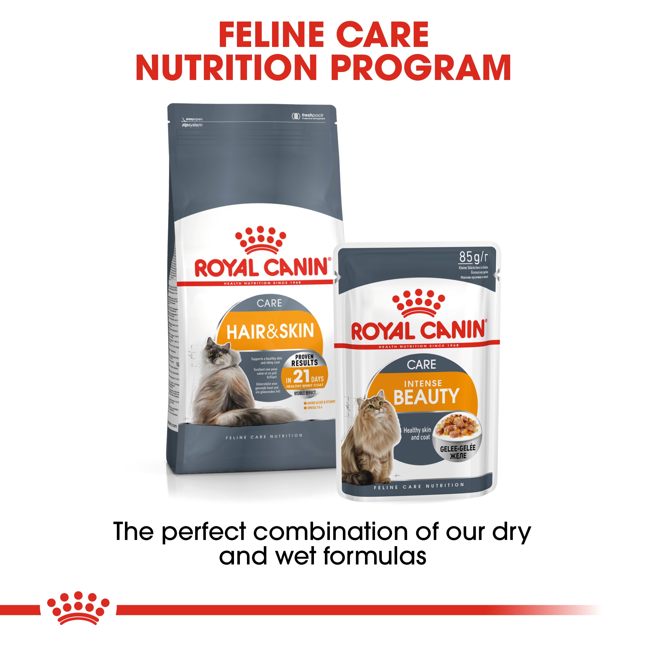 Royal Canin Intense Beauty Care Adult Wet Cat Food
