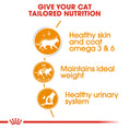 Load image into Gallery viewer, Royal Canin Intense Beauty Care Adult Wet Cat Food
