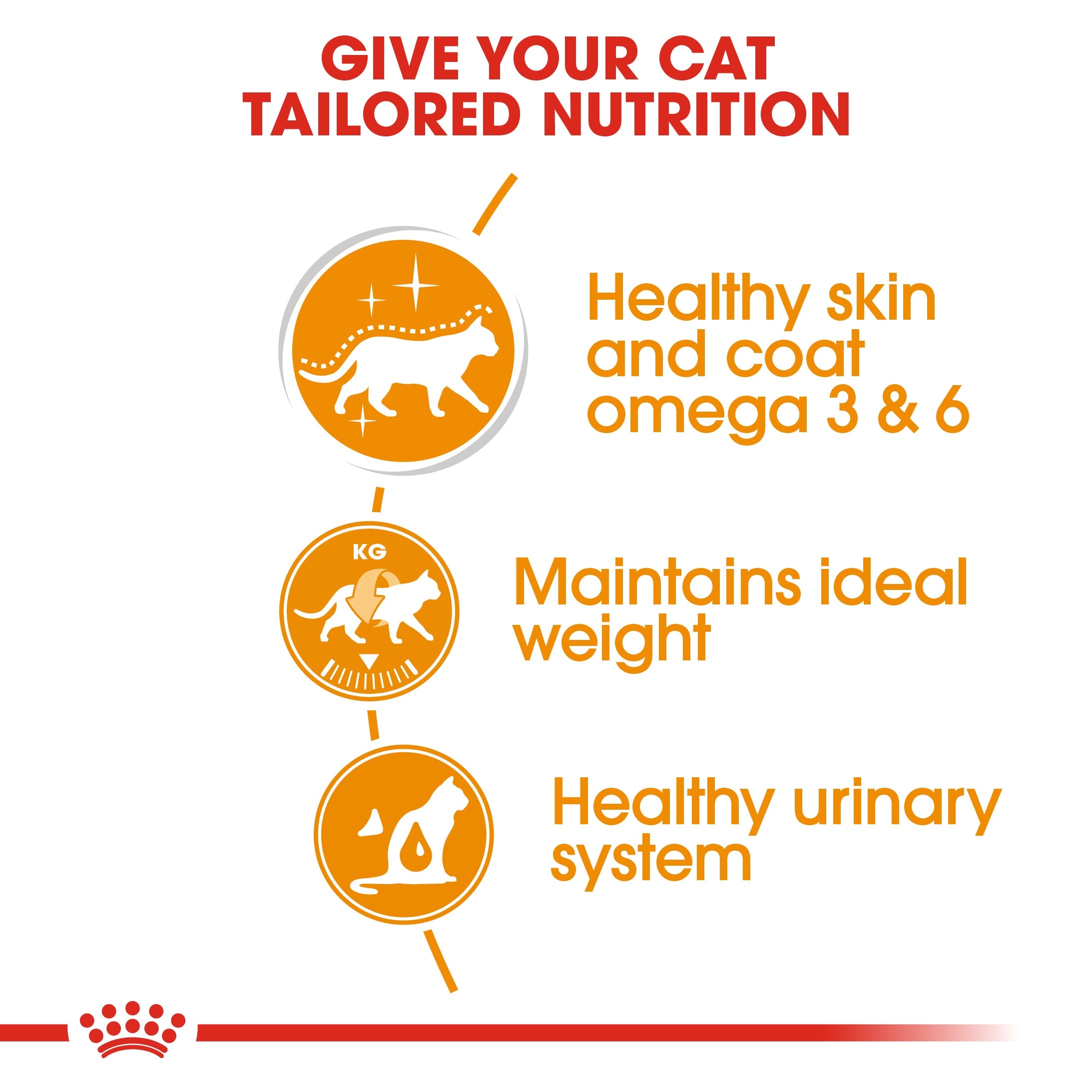 Royal Canin Intense Beauty Care Adult Wet Cat Food