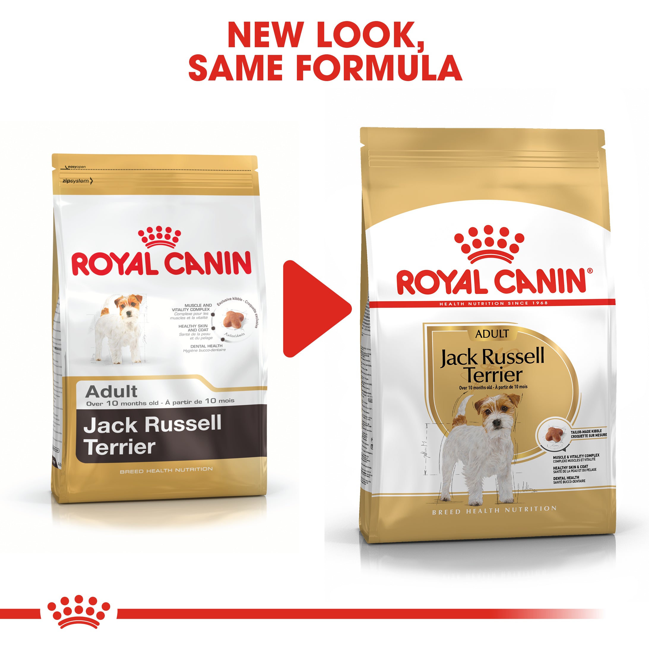Royal Canin Jack Russell Terrier Adult Dry Dog Food