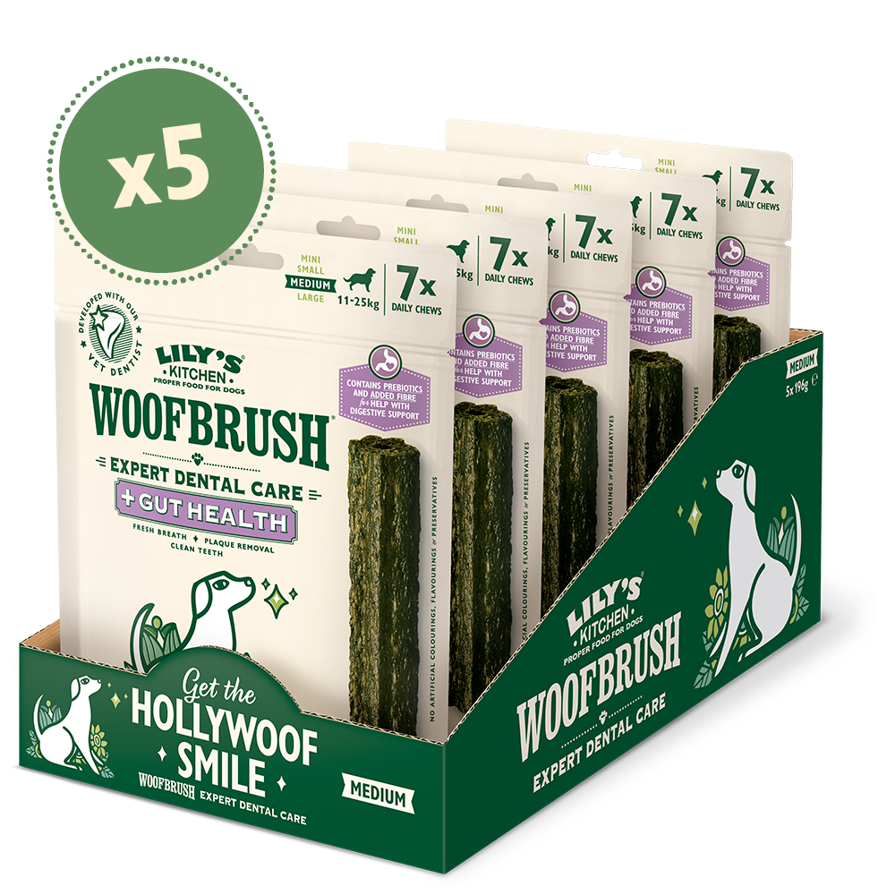Lily's Kitchen Woofbrush