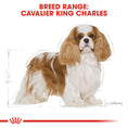 Load image into Gallery viewer, Royal Canin Cavalier King Charles Adult Dry Dog Food
