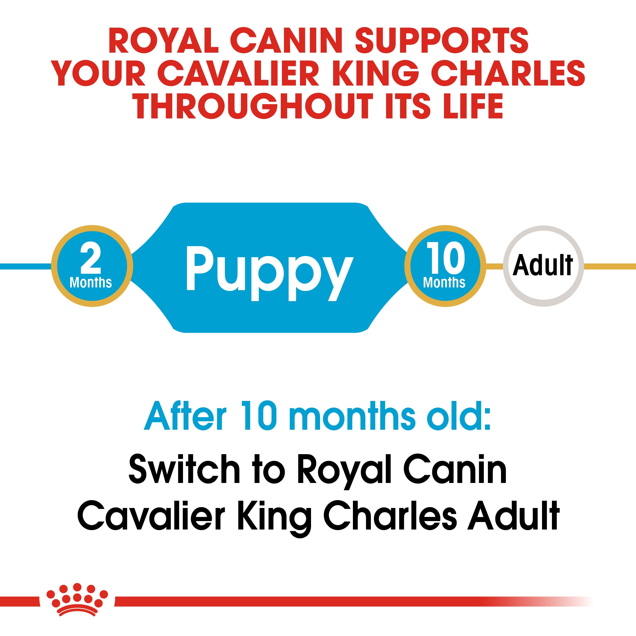 Royal Canin Cavalier King Charles Puppy Dry Food