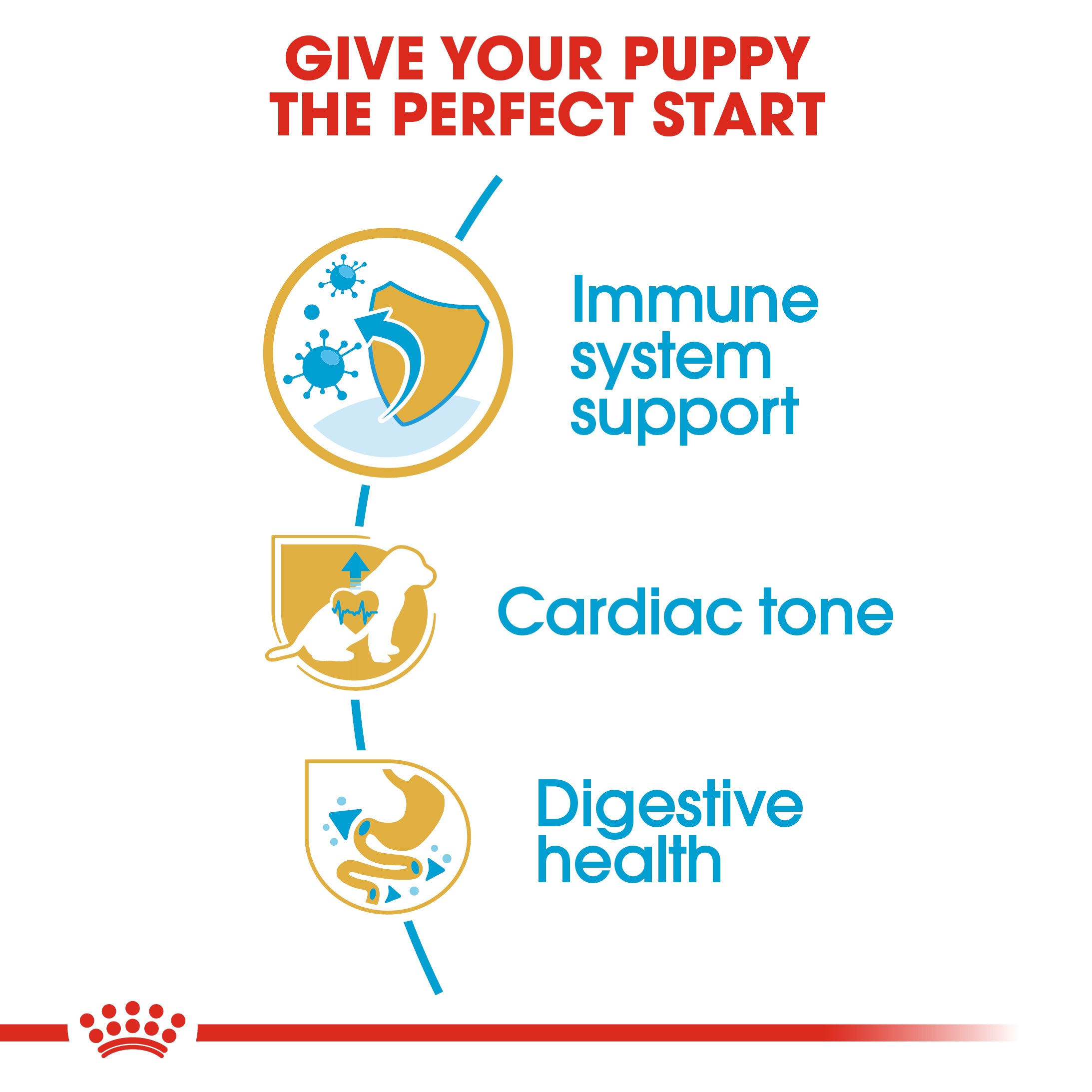 Royal Canin Cavalier King Charles Puppy Dry Food
