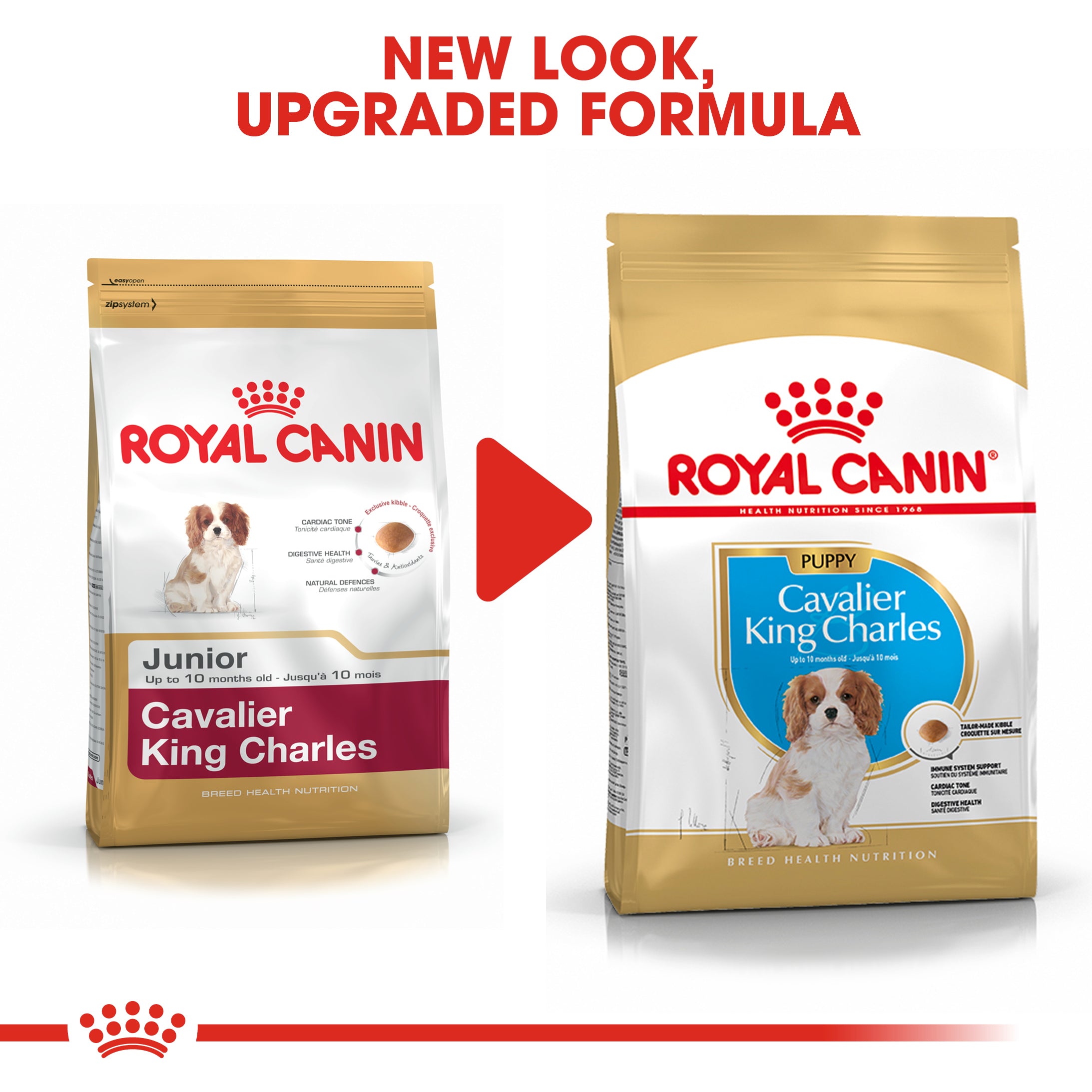 Royal Canin Cavalier King Charles Puppy Dry Food