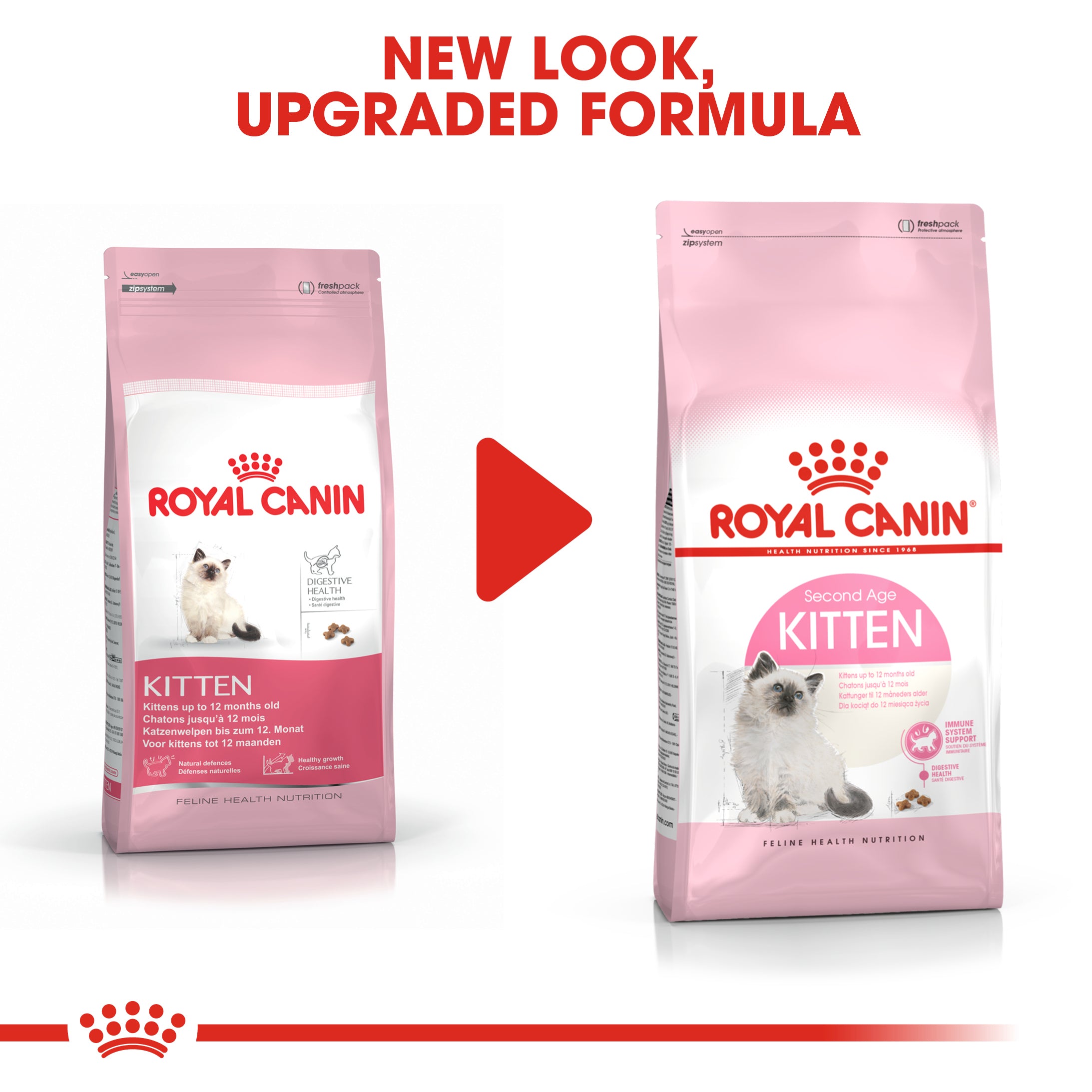 Royal Canin Kitten Dry Food