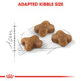 Load image into Gallery viewer, Royal Canin Kitten Dry Food
