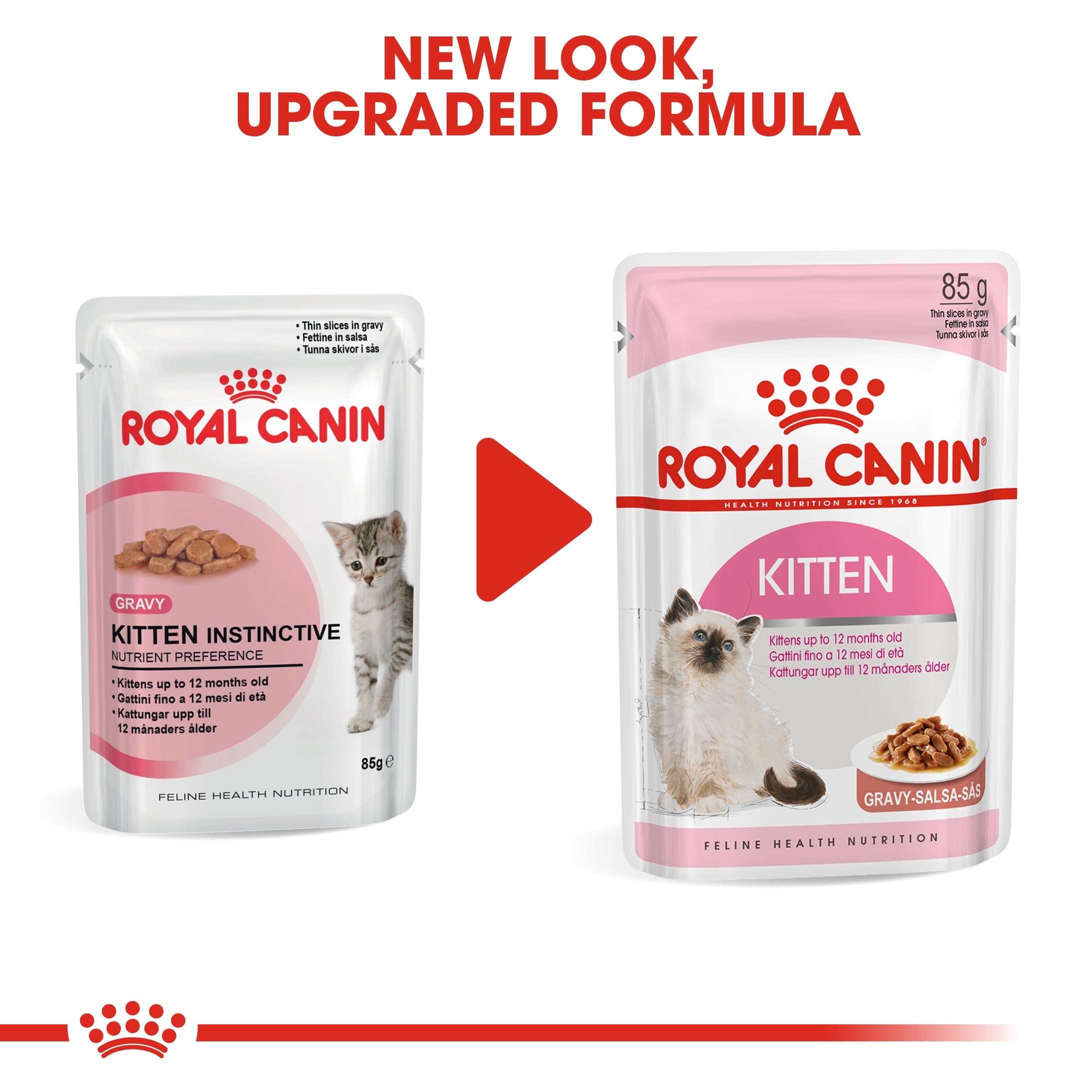 Royal Canin Kitten Wet Food