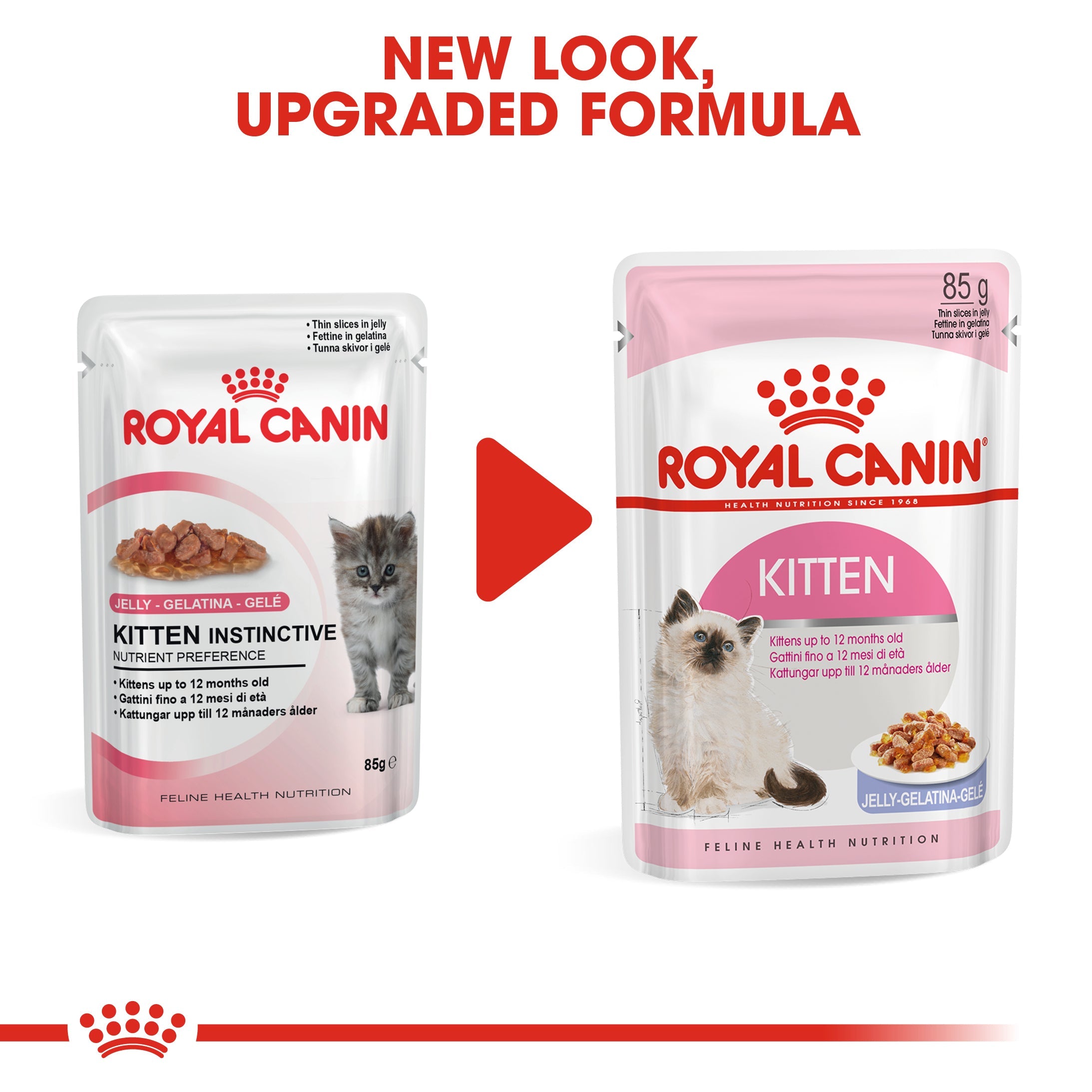 Royal Canin Kitten Wet Food