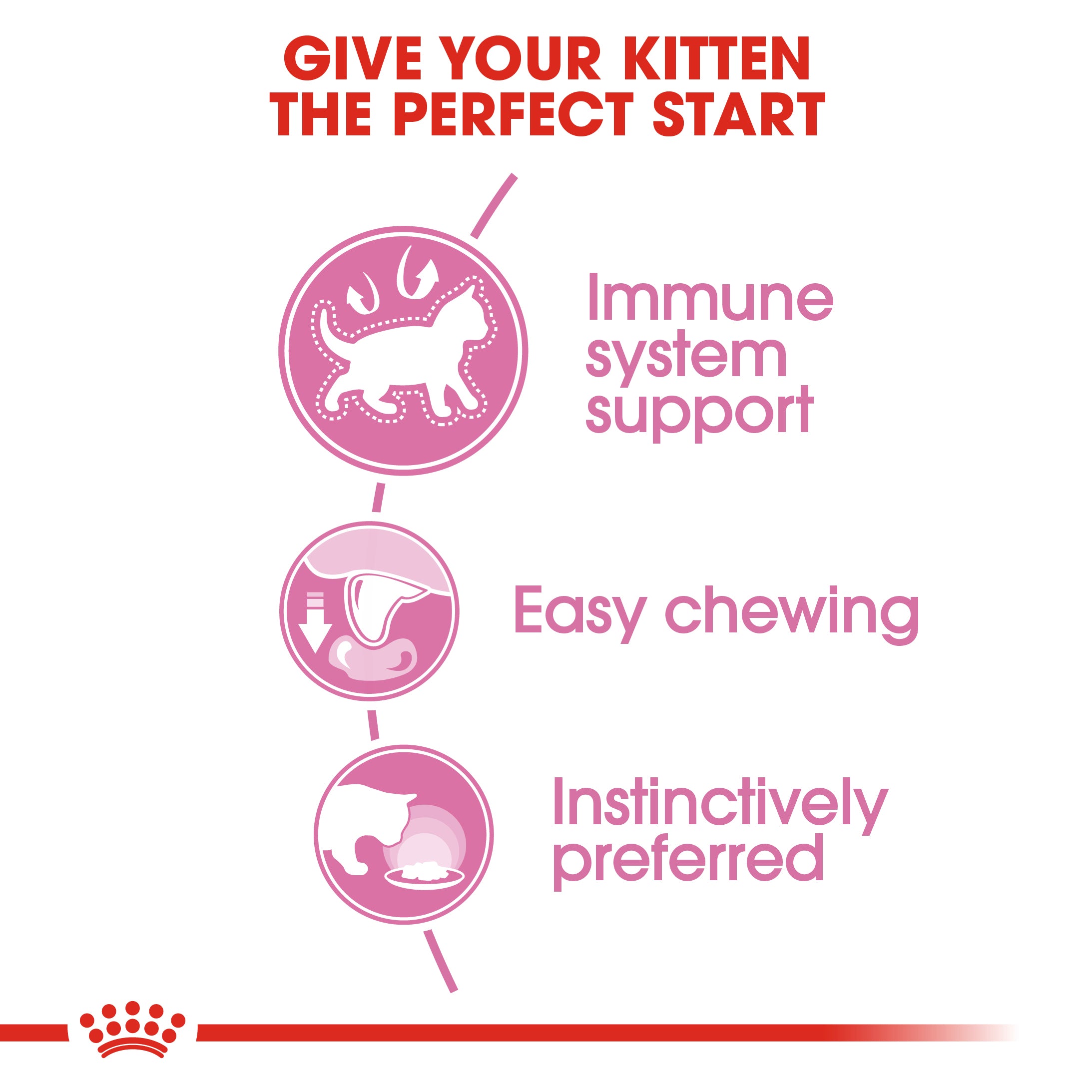 Royal Canin Kitten Wet Food
